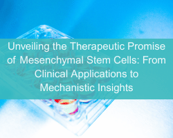 Unveiling the Therapeutic Promise of Mesenchymal Stem Cells: From Clinical Applications to Mechanistic Insights - cover